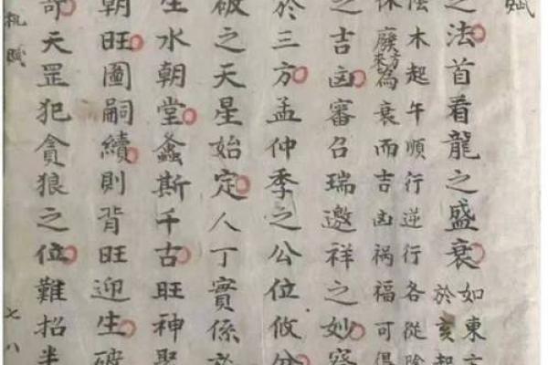 风水先生_摇鞭赶山法