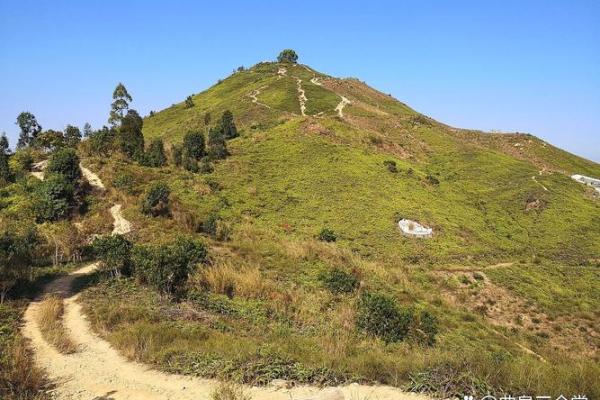 农村坟地：三种绝佳的风水宝地