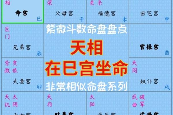 命宫紫薇斗数天巫