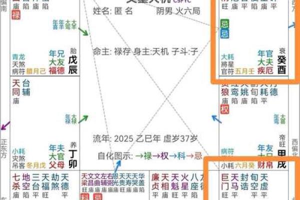 天机紫薇斗数长相