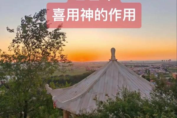 八字喜用神是水走什么大运