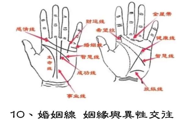 看手相算命图解：掌线