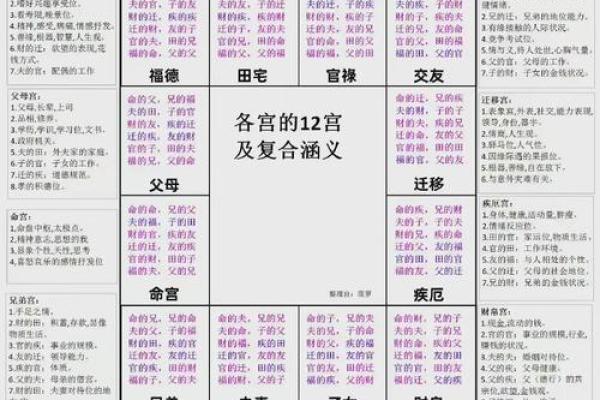 跟着AI学紫薇斗数，十二宫介绍