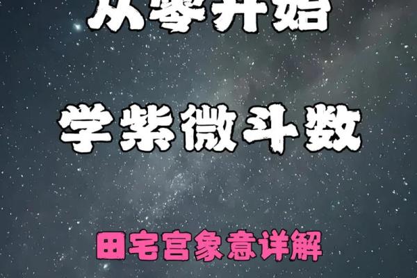 跟着AI学紫薇斗数，十二宫介绍