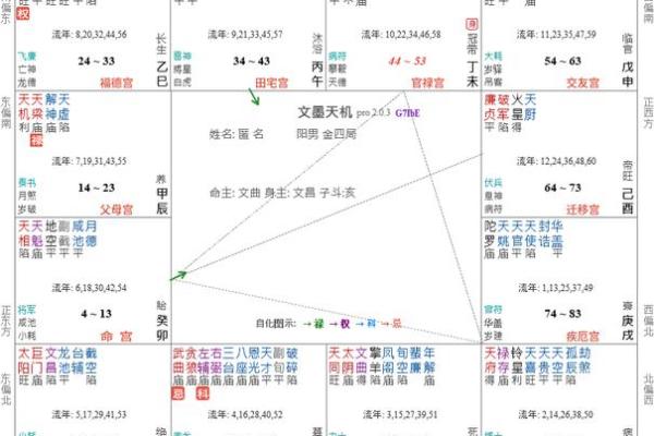 紫薇斗数子女宫巨门化忌