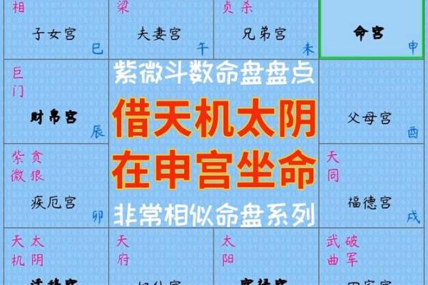 紫薇斗数命盘带帝旺是什么意思