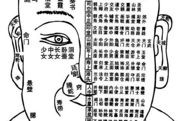 人脸算命