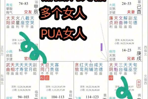 紫薇斗数命宫大耗
