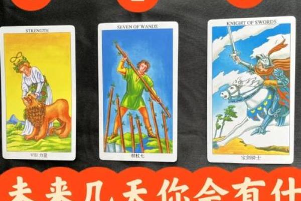 塔罗测试：你的未来身价
