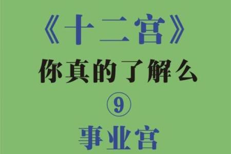 紫微斗数之事业宫与诸星，巨门星在事业宫是什么意思？