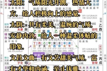 丙申年紫微斗数 丙申年运？