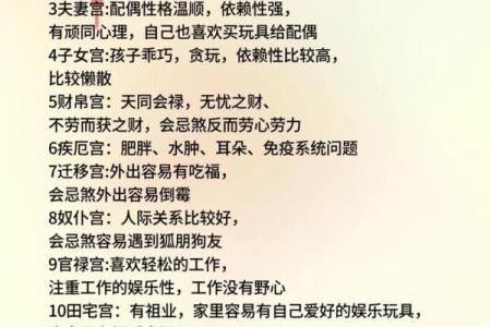 紫微斗数术语解释之：体和用