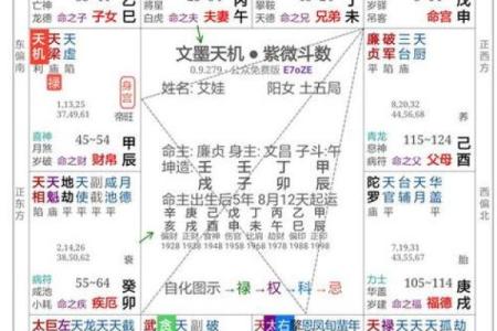 紫微斗数之子女宫与诸星，天机星在子女宫是什么意思？