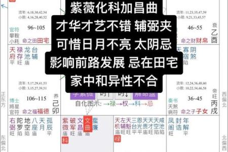 紫薇斗数怎么看桃花是不是正缘