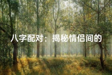 情侣八字配对