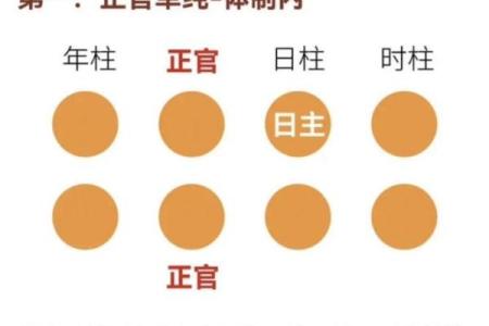 八字初学者
