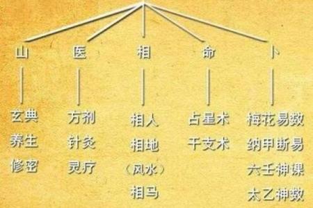 面相算命入门：五行与相貌