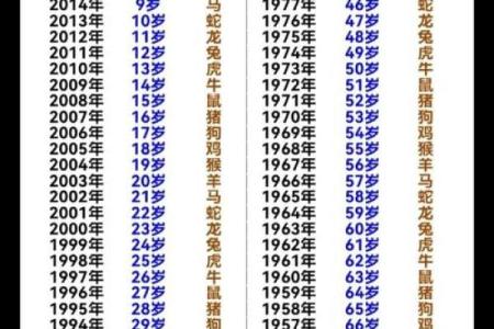 生辰八字指的是什么