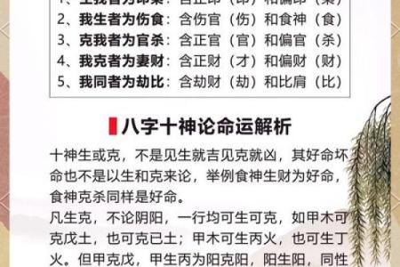 如何根据生辰八字算五行