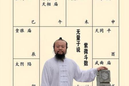 紫微斗数之疾厄宫与诸星，天相星在疾病宫是什么意思？