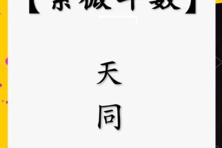 紫微斗数诸星落诸宫之：天同星奴仆宫详解