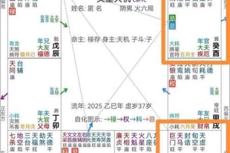 天机紫薇斗数长相