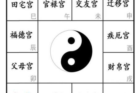 紫薇斗数纳音数