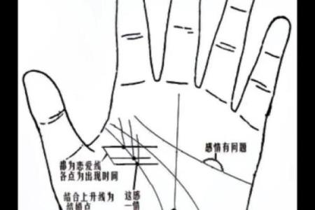 看手相算命图解：掌线