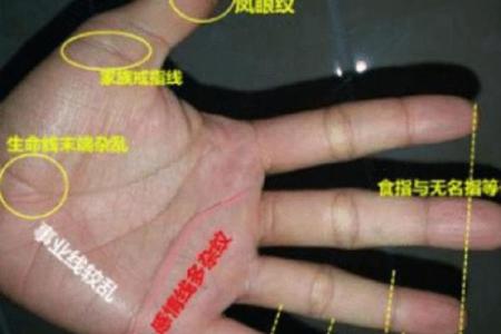 凯帝阿手相算命图解大全01