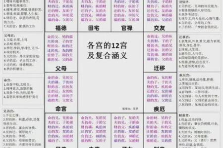 跟着AI学紫薇斗数，十二宫介绍