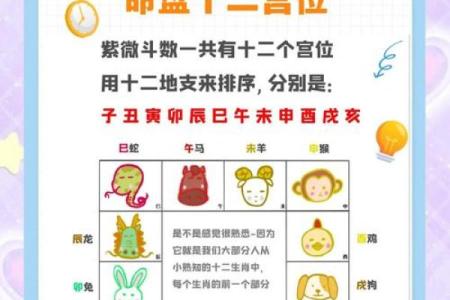 紫薇斗数12宫位
