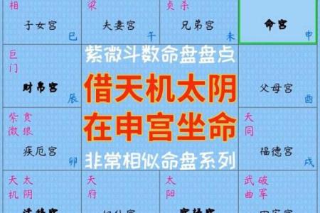 紫薇斗数命盘带帝旺是什么意思