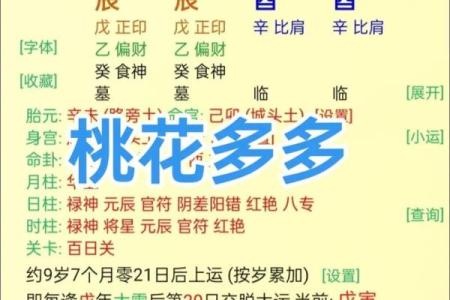八字中什么桃花魅力最大呢