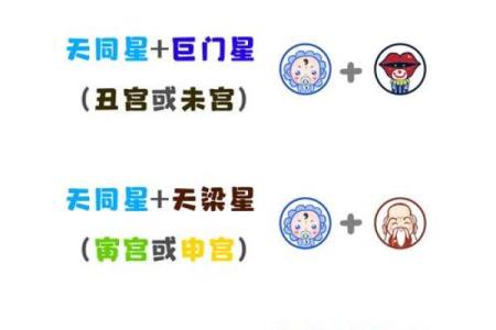 紫微斗数术语解释之：星曜的简称
