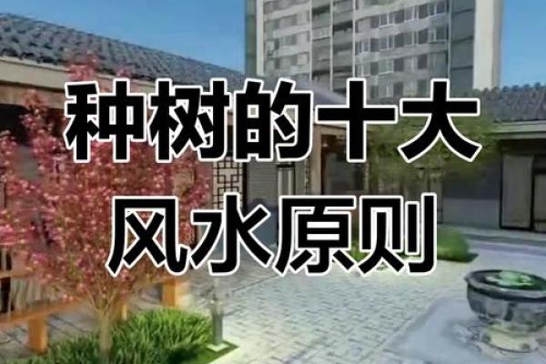 庭院风水禁忌