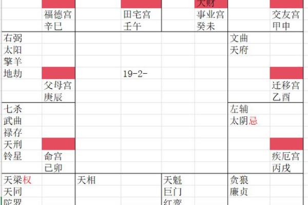 紫薇斗数正财星