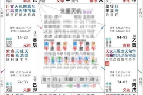 紫薇斗数正财星