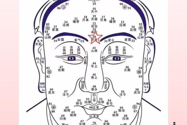 五官看面相算命图解女眼睛 眼睛看相算命图解