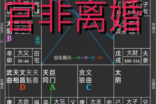 紫薇斗数的群