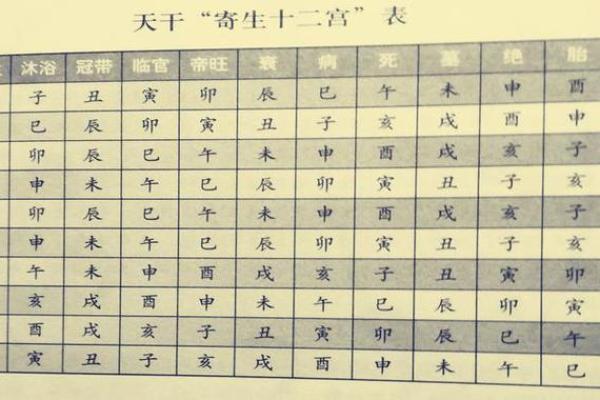 八字命宫在子