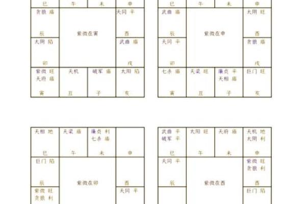 紫薇斗数星辰详解