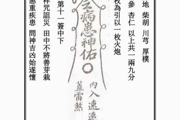灵鸟叨签算命违法吗