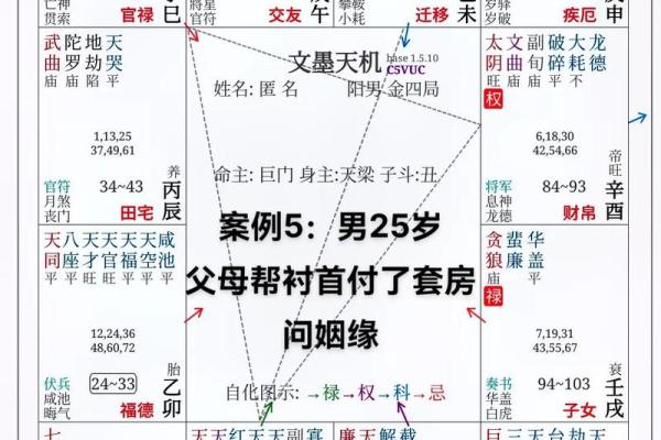 娃娃脸紫薇斗数