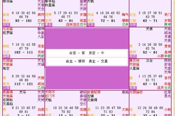 免费查紫薇星盘入宫是什么意思