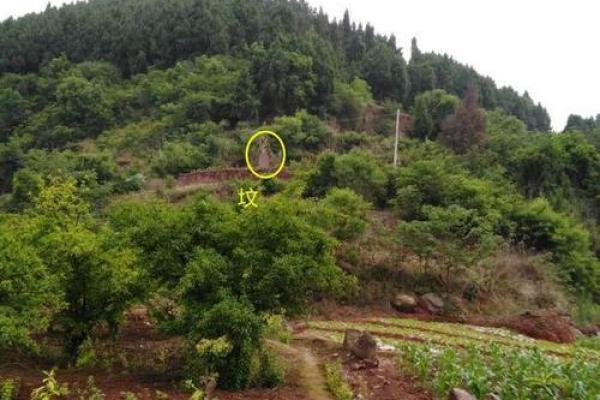 前兆葬风水宝地有预感多久知道