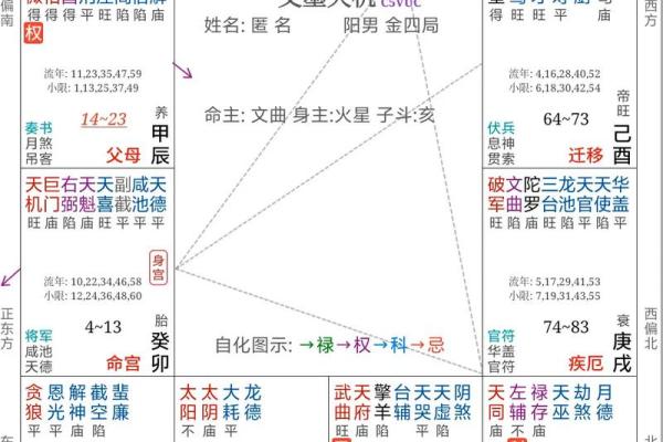 紫薇斗数象义