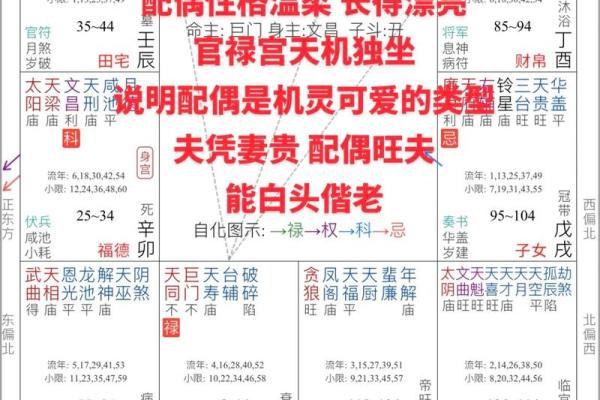 紫薇斗数与看盘