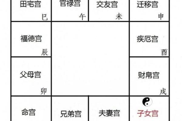 紫薇斗数与紫薇星盘
