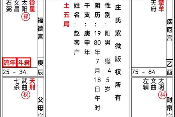 紫微斗数天府在疾厄宫