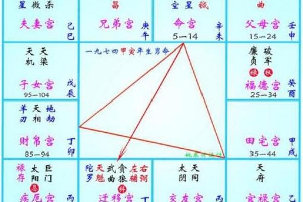 紫薇斗数男命主要看什么宫位